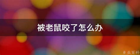 老鼠咬到|被老鼠咬了怎么办？这些科学处理方法你知道吗？